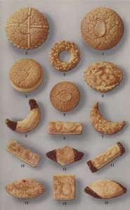 杏仁糖小册子的插图（彩色照片 作者 英国摄影师