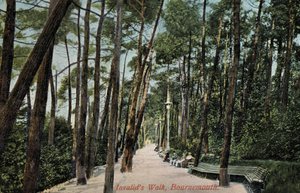 伯恩茅斯荣军院(Invalids Walk)(照片) 作者 英国摄影师