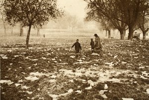 在银行假日后的第二天，在汉普斯特德希思（Hampstead Heath）散落的草地，来自奇妙的伦敦，出版于1926年至27年（照相凹版） 作者 英国摄影师