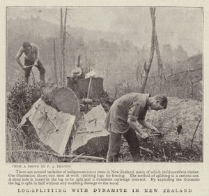 使用Dynamite在新西兰进行Log-Splitting 作者 英国摄影师
