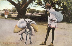 人和驴子（彩色照片） 作者 英国摄影师