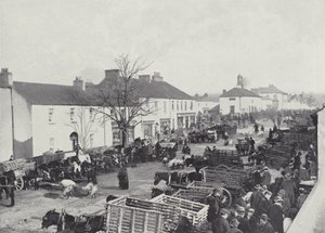 Abbeyleix的市场日 作者 英国摄影师