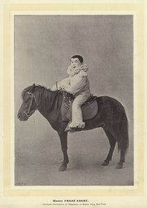 弗兰兹艾伯特大师