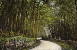 在通往黑岗的道路上 作者 英国摄影师