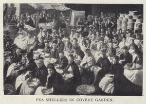 豌豆shellers在伦敦考文特花园 作者 英国摄影师
