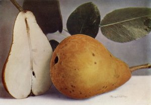 梨、杜隆多（彩色照片） 作者 英国摄影师