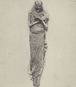 Rameses II，或称Rameses the Great，压迫以色列人的国王 作者 英国摄影师