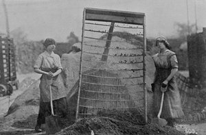 战争办公室照片，1916年（Bw照片） 作者 英国摄影师