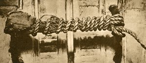 图坦卡蒙墓的绳索和封印完好无损（黑白照片） 作者 英国摄影师