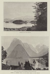 西奥塔哥的风景，在新西兰的中间岛 作者 English Photographer