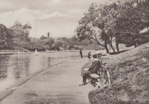 Sefton Park, Liverpool (b/w photo) 作者 英国摄影师