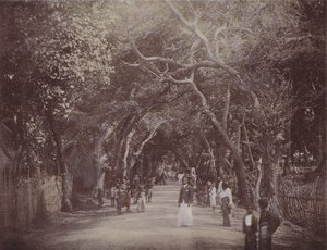科伦坡Skinners Road（彩色照片） 作者 英国摄影师