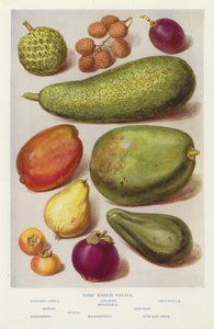 Some rarer fruits (photo) 作者 英国摄影师