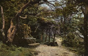 石座，山崩 作者 英国摄影师