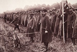 索尔兹伯里平原上的澳新军团评论：澳大利亚吉祥物，1916年9月27日“插图战争新闻”中的插图（棕褐色照片） 作者 英国摄影师