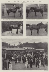 1901年的阿斯科特会议