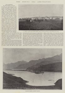 白令海仲裁