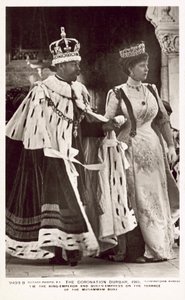印度德里的加冕杜尔巴（The Coronation Durbar）。 作者 英国摄影师