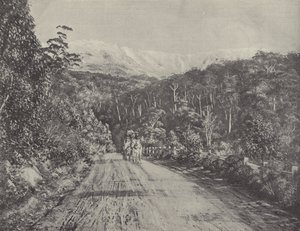 Huon Road 作者 英国摄影师