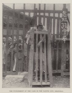 上海本土城市笼子的惩罚 作者 英国摄影师