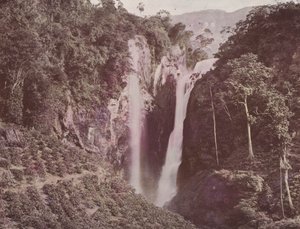 双子瀑布（咖啡种植在前景），锡兰（彩色照片） 作者 英国摄影师