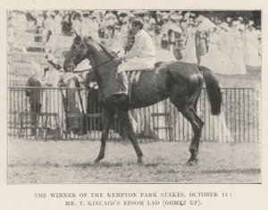 10月11日，肯普顿公园赌场的获胜者，T Kincaids Epsom Lad先生（Gomez up） 作者 英国摄影师