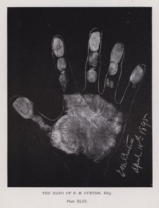 The hand of E M Curtiss (b/w photo) 作者 英国摄影师