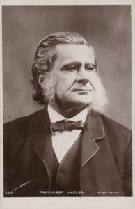 Thomas Henry Huxley（1825-1895，英国生物学家 作者 英国摄影师