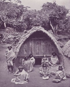 托达斯在家里 作者 英国摄影师