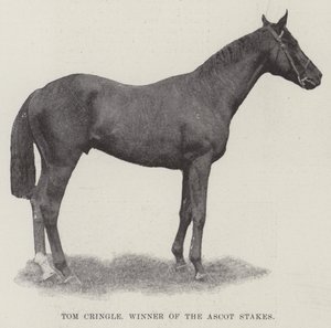 Tom Cringle，Ascot Stakes的获胜者 作者 英国摄影师