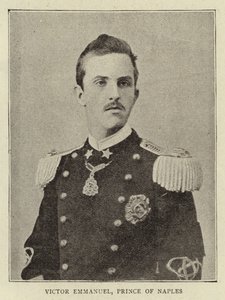 那不勒斯王子Victor Emmanuel 作者 英国摄影师