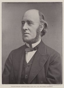 都柏林大学的William Edward Hartpole Lecky，LLD，DCL，MP 作者 英国摄影师