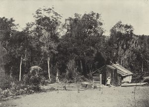 樵夫小屋，克尼斯纳（黑白照片） 作者 英国摄影师