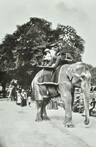 动物园，动物公园：大象游乐设施，伦敦，c.1895 作者 英国摄影师