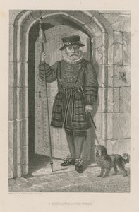 在塔的一个Beefeater 作者 英语学校