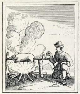 来自&39;Santo Domingo过去和现在&39;的Boucan，来自Samuel Hazard，酒吧。 1873年 作者 英语学校