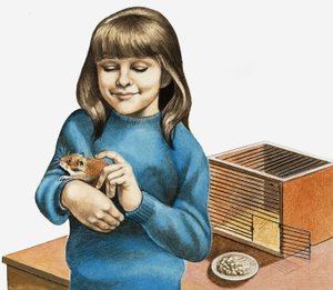 一个女孩和她的仓鼠 作者 英语学校