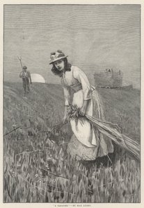 拾穗者（雕刻） 作者 英语学校