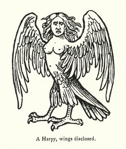 A Harpy, wings disclosed (engraving) 作者 英语学校
