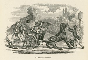 "滴肾》（雕刻） 作者 英语学校