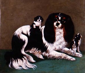 省立学校查尔斯王猎犬家庭 作者 英语学校