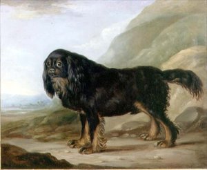 景观中的查尔斯王猎犬 作者 英语学校