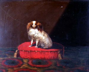 一只查理斯国王犬在红色垫子上，省级学校 作者 英语学校