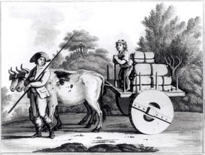 葡萄牙农场，由James Murphy撰写的葡萄牙国家概况，于1797年出版 作者 英语学校