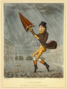 由M. Hunt雕刻的Soaker或Real Cat and Dog Day，由Thomas McLean于1827年出版（彩色蚀刻） 作者 英语学校