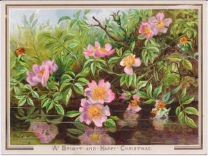 维多利亚时代的圣诞贺卡，描绘了一条小溪的狗玫瑰丛，约摄于1880年 作者 英语学校