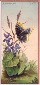 维多利亚时代的紫罗兰和蝴蝶新年贺卡，约1880年 作者 英语学校