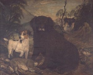 一只水猎犬和两只杰克-罗素犬在日用品袋旁。 作者 英语学校