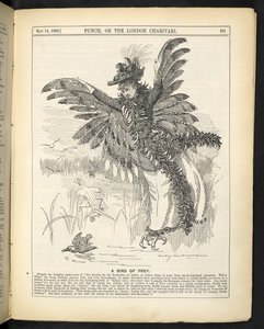 一只猎鸟，摘自 5 月 14 日《庞克报》（Punch）或《伦敦新闻报》（London Charivari）。 作者 英语学校