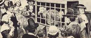 十七世纪英国展出的渡渡鸟（石版画） 作者 英语学校